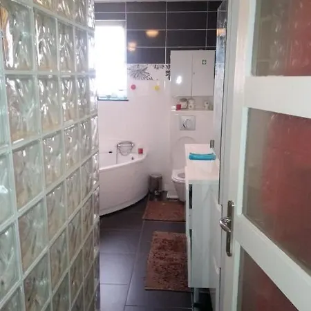 Spacious House With Jacuzzi In 別荘